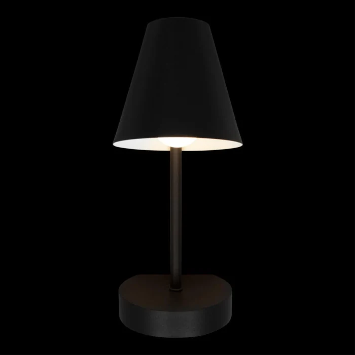 Настольная лампа Loft it Shelf 10216/1W Black