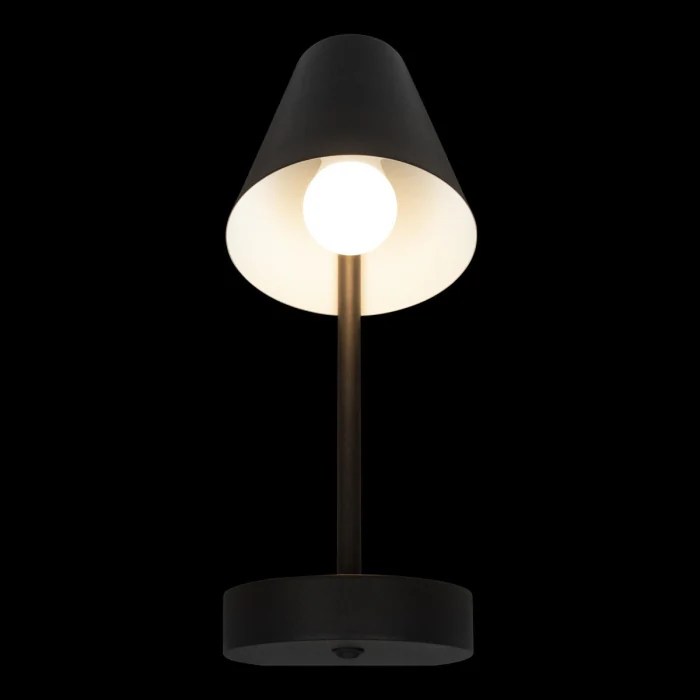 Настольная лампа Loft it Shelf 10216/1W Black