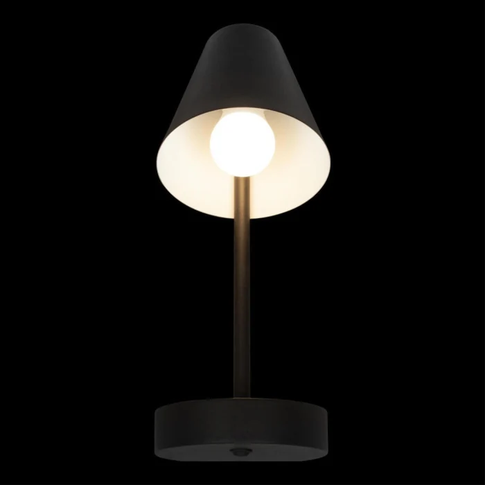 Настольная лампа Loft it Shelf 10216/1W Black