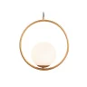 Подвесной светильник Ambrella light TR2594