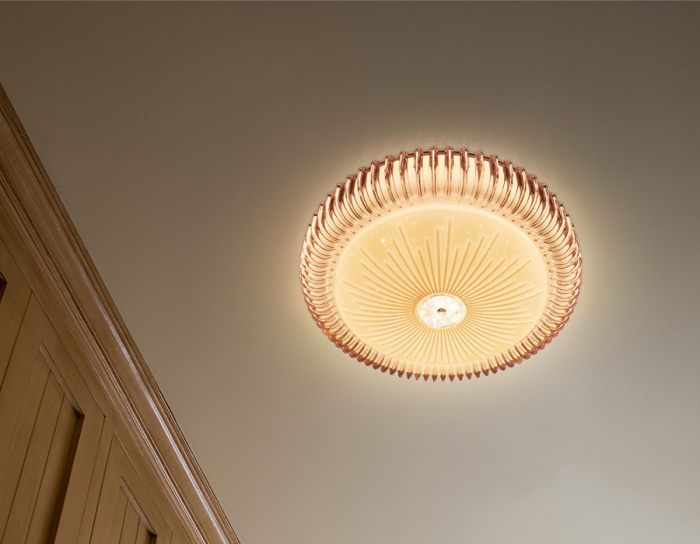 Потолочный светодиодный светильник с пультом Ambrella light FF95