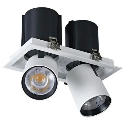 Светильник точечный встраиваемый DORSUM WERTMARK TECHNICAL WTD.O31.067.30.20