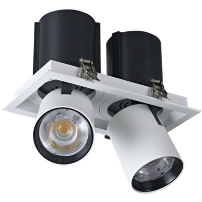 Светильник точечный встраиваемый DORSUM WERTMARK TECHNICAL WTD.O31.067.30.20