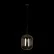 Подвесной светильник LOFT IT 10195/350 Amber