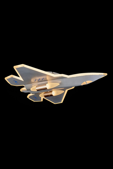 Потолочный светильник Leon Avion LE4007