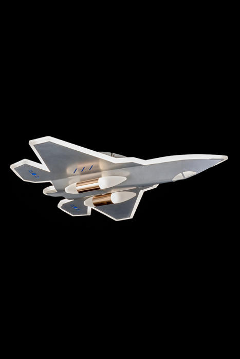 Потолочный светильник Leon Avion LE4007