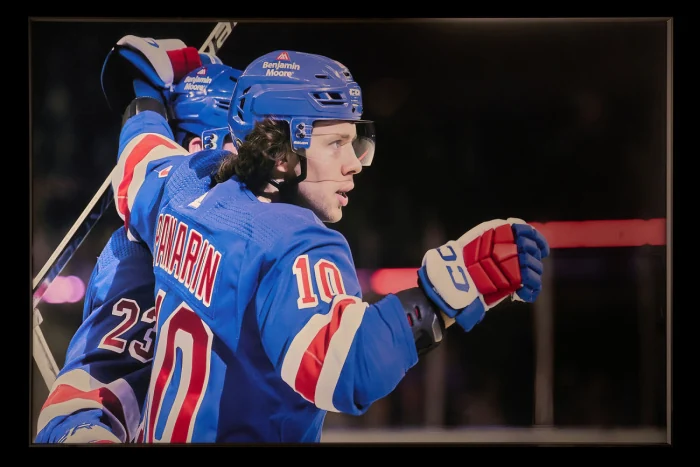 Картина Teona Decor Hockey TD236