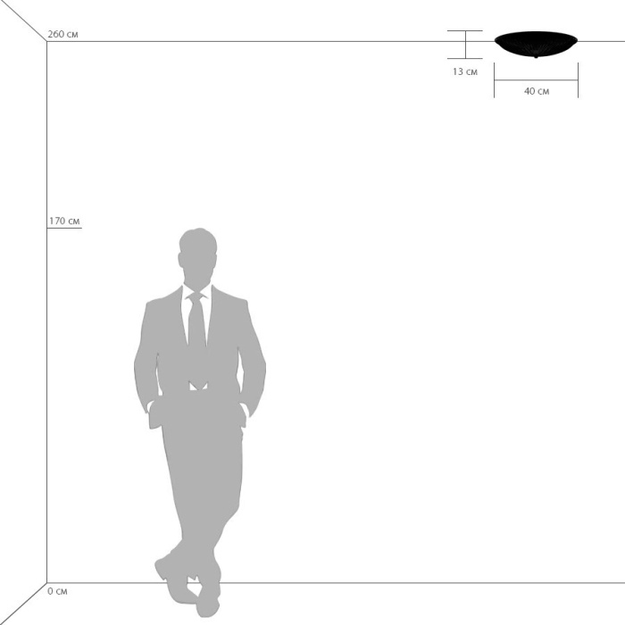 Накладной светильник ZUCCHE LIGHTSTAR 820830