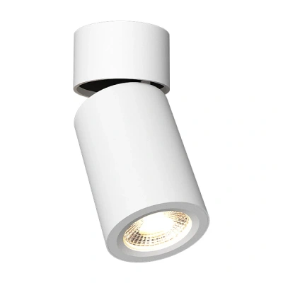 Спот Ledron AO1705001 White