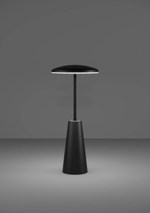 Настольная лампа EGLO PICCOLA 900925