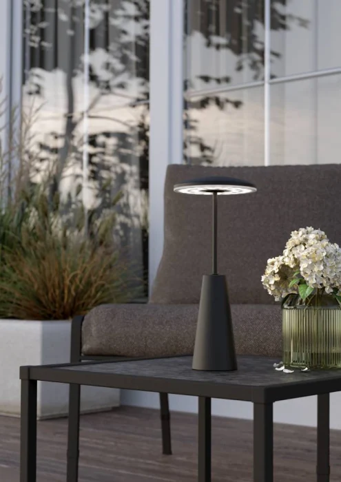 Настольная лампа EGLO PICCOLA 900925