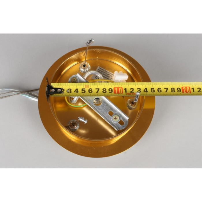 Люстра подвесная Aployt Gertunia APL.847.03.10