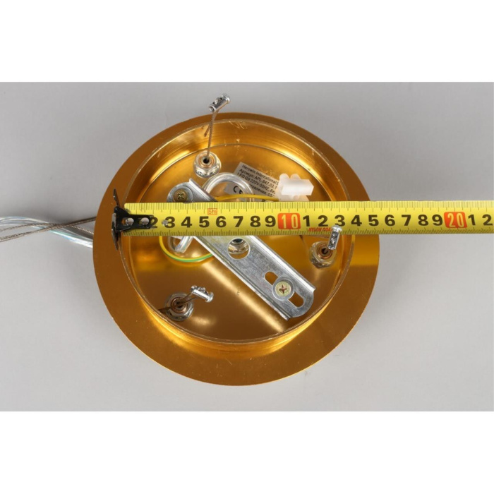 Люстра подвесная Aployt Gertunia APL.847.03.10