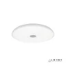 Музыкальный потолочный светильник iLedex Music 1706/400 WH