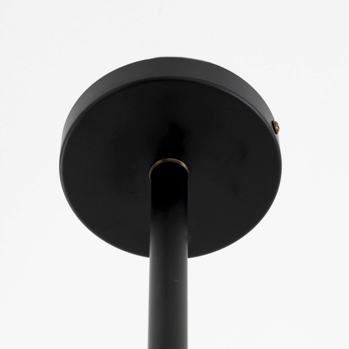 Люстра на штанге Citilux Планета CL105295