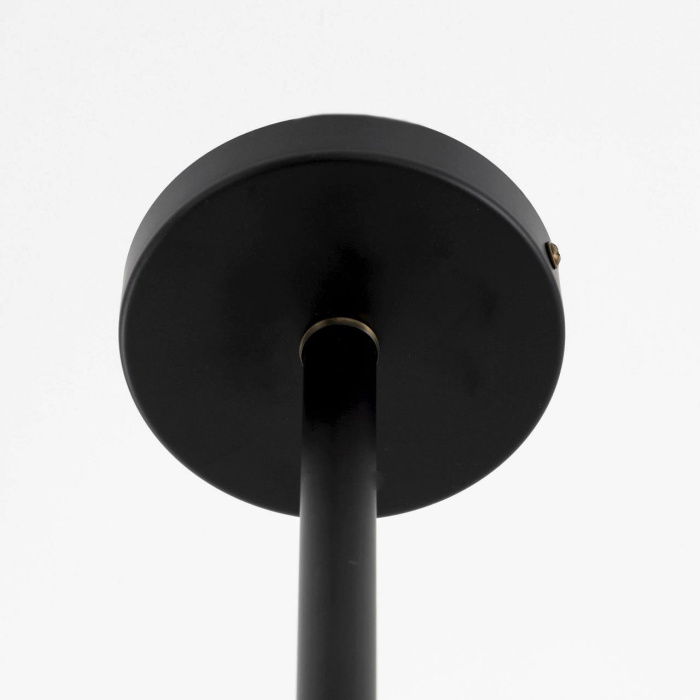 Люстра на штанге Citilux Планета CL105295