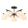 Потолочный светильник Ambrella light TR303312