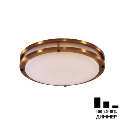 Светильник накладной Citilux Бостон CL709323N