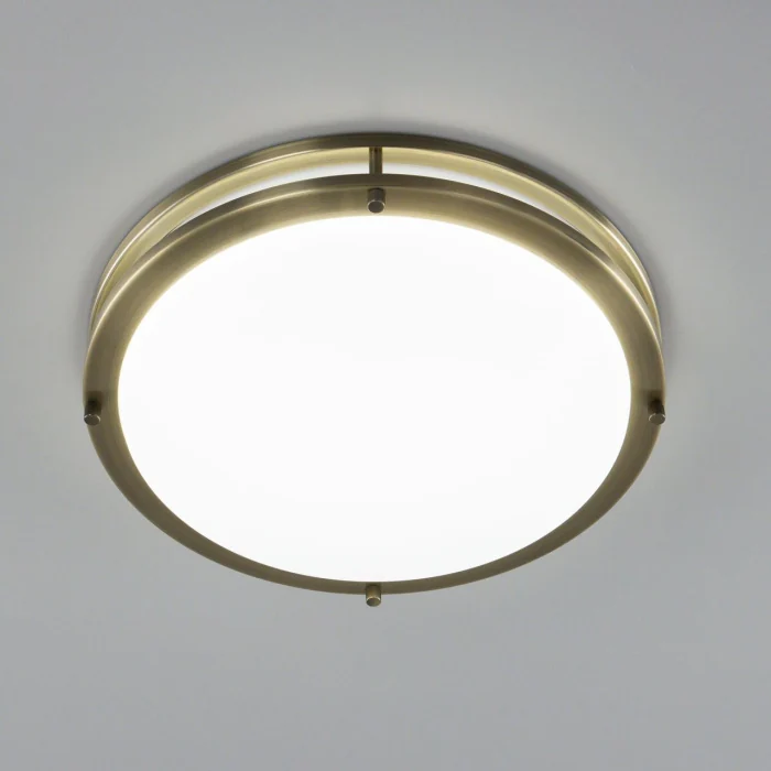 Настенно-потолочный светильник Citilux Бостон CL709323N