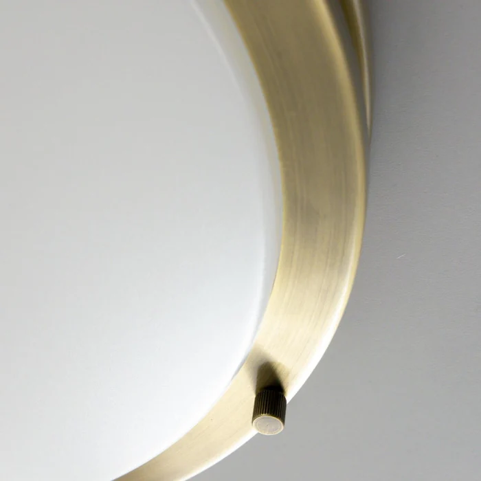 Настенно-потолочный светильник Citilux Бостон CL709323N