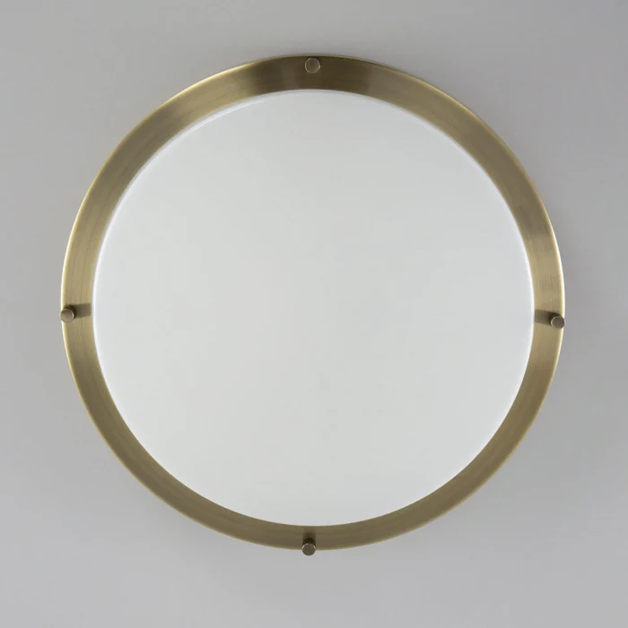 Настенно-потолочный светильник Citilux Бостон CL709323N