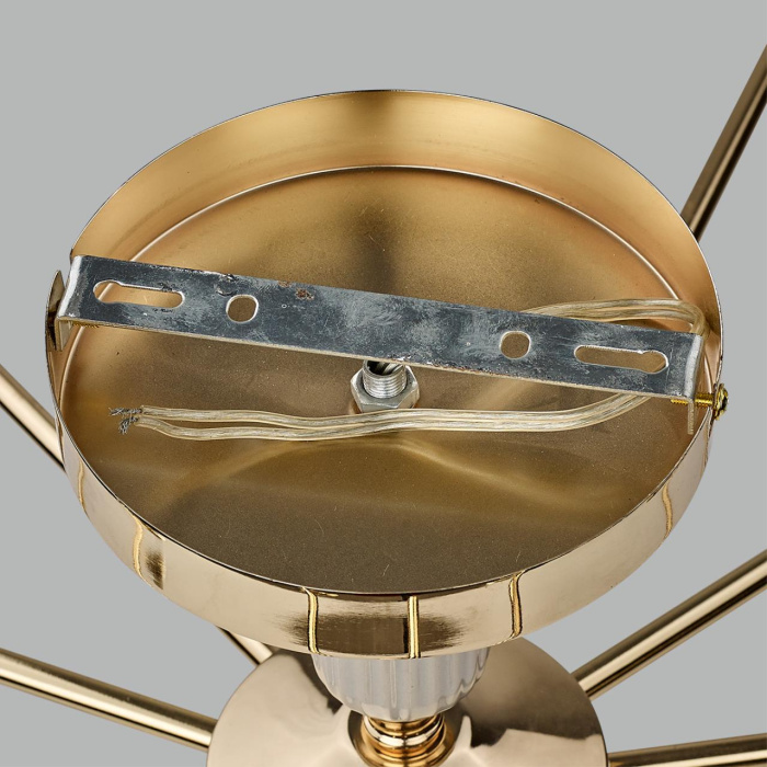 Накладная люстра Lumion Vivien 6580/7C