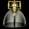 Подвесной светильник Arti Lampadari Daiano E 1.P1 CL