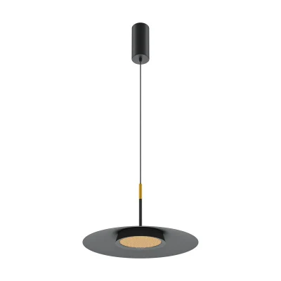 Подвесной светильник Maytoni MOD041PL-L15B3K1