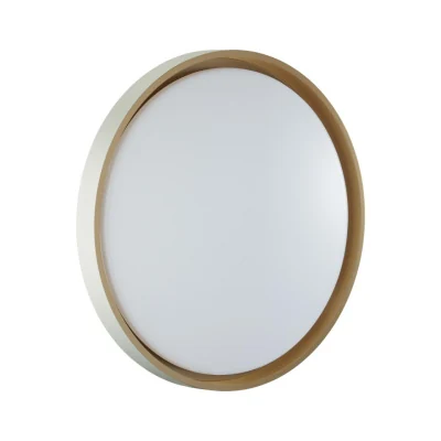 Настенно-потолочный светильник СОНЕКС COLOR 7645/ELN