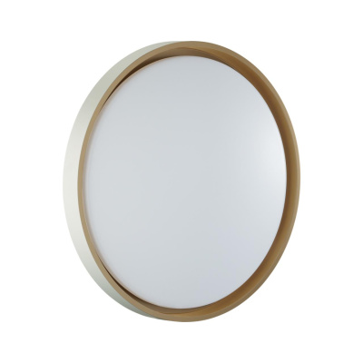 Настенно-потолочный светильник СОНЕКС COLOR 7645/ELN