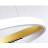 Подвесной светодиодный светильник с пультом управления Ambrella light FL51488
