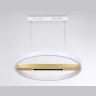 Подвесной светодиодный светильник с пультом управления Ambrella light FL51488