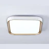 Потолочный светодиодный светильник Ambrella light FZ1253
