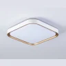 Потолочный светодиодный светильник Ambrella light FZ1253