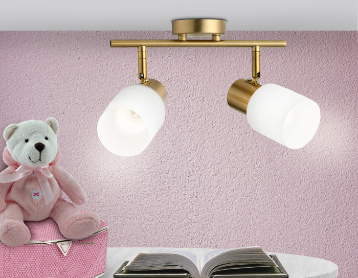 Настенно-потолочный спот Ambrella light TR3969