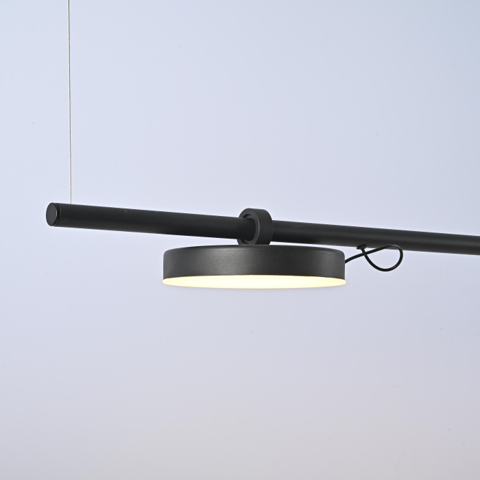 Подвесной светильник CARY-LONG ImperiumLoft