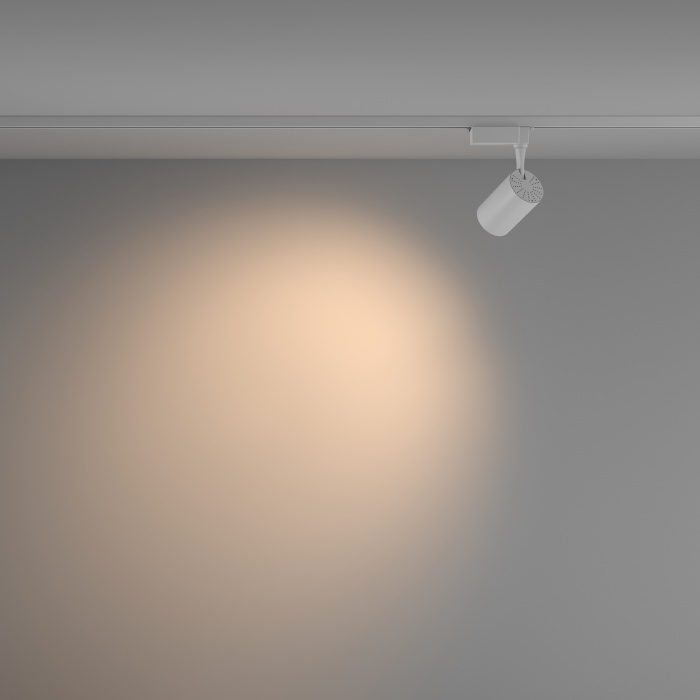 Трековый светильник Maytoni Vuoro TR003-1-10W3K-W-W