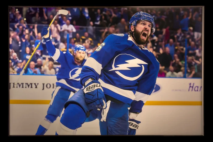 Картина Teona Decor Hockey TD237