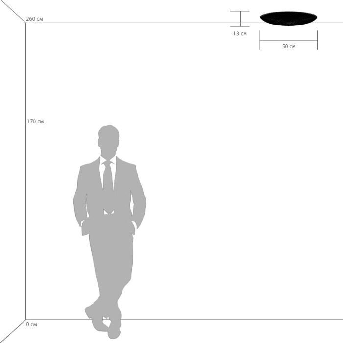 Накладной светильник ZUCCHE LIGHTSTAR 820840