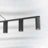 Подвесная люстра Lightstar Roma 718057