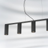 Подвесная люстра Lightstar Roma 718057