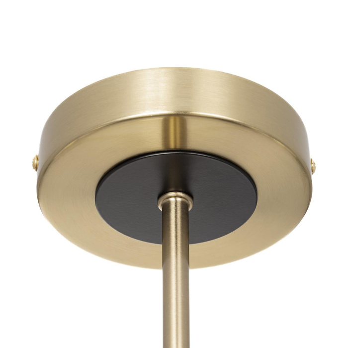 Люстра на штанге Citilux Alton CL421273