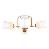 Потолочный светильник Ambrella light TR303321