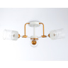 Потолочный светильник Ambrella light TR303321