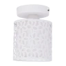 Потолочный светильник Arte Lamp Traforato A8349PL-1WH