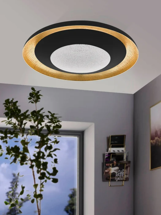 Светильник потолочный CANICOSA 2 EGLO 98685