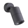 Спот Odeon Light Corsus 4207/1C