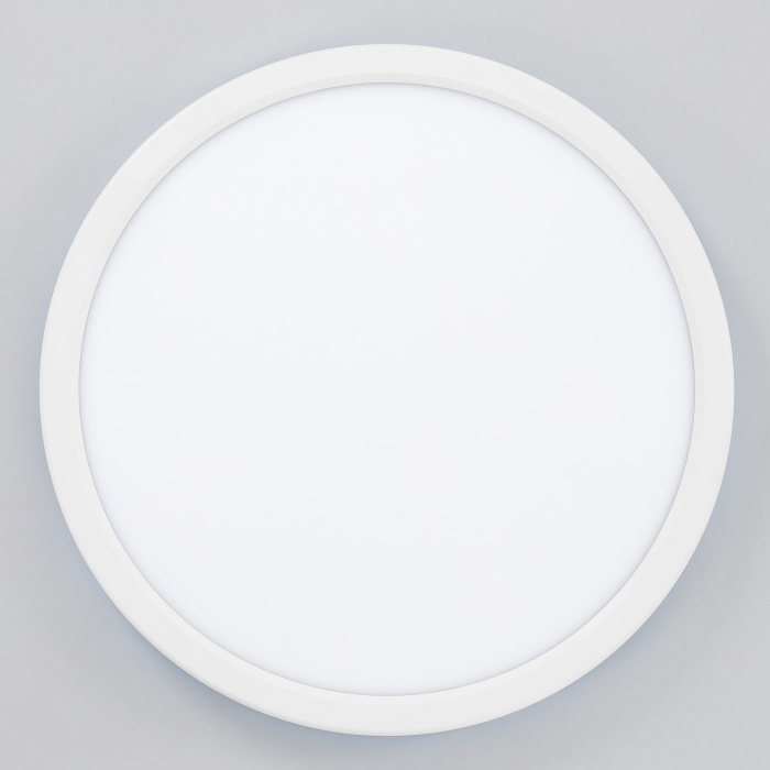 Светильник накладной Citilux Basic Line CL738240VL