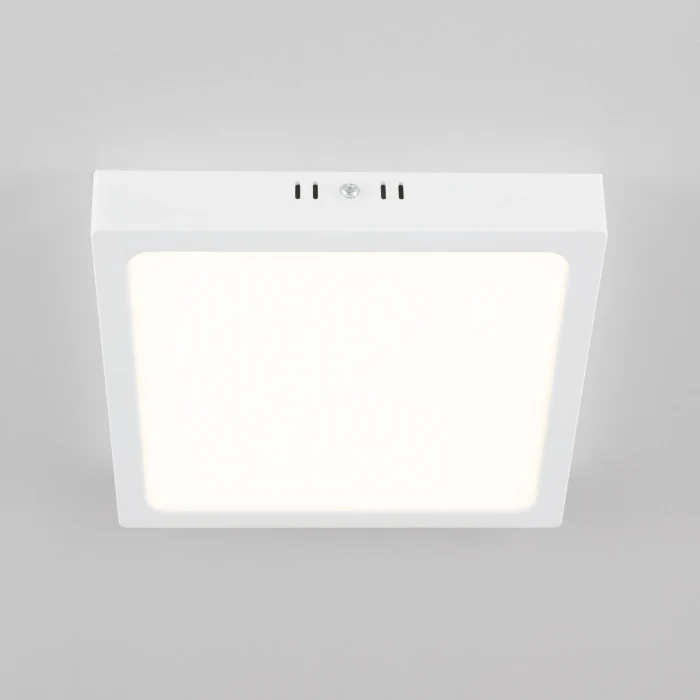 Светильник накладной Citilux Галс CL55K22N