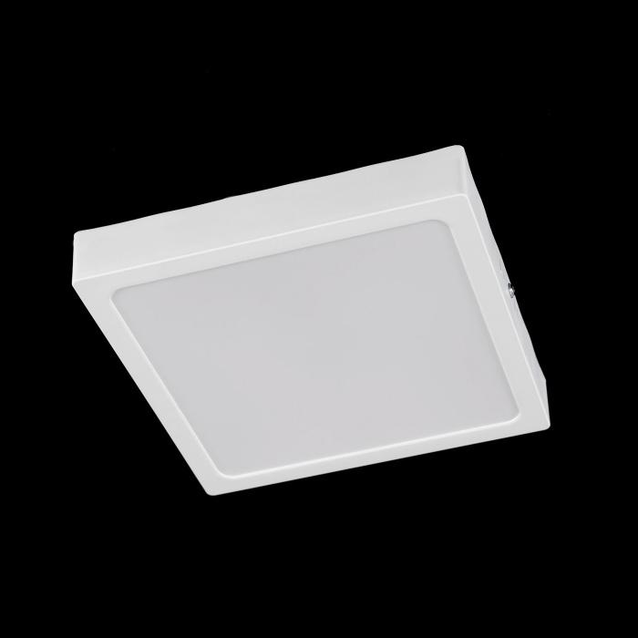 Светильник накладной Citilux Галс CL55K22N